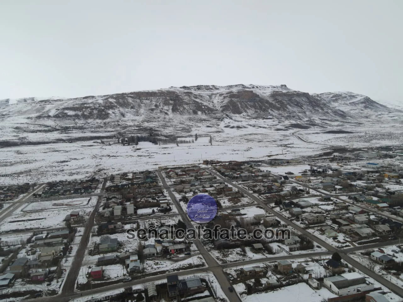 calafate invierno @joniveron (2)
